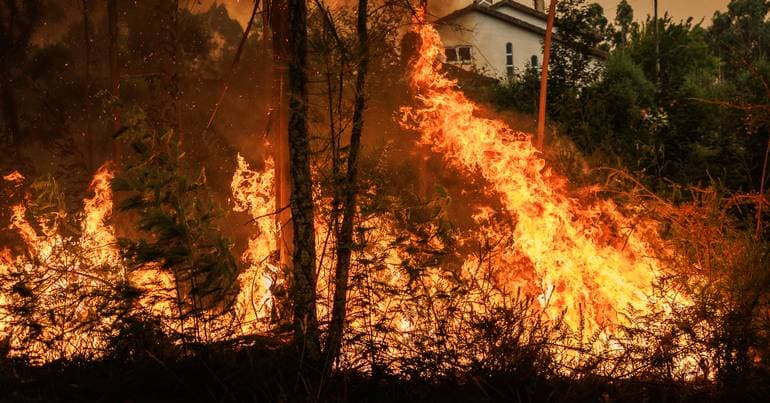 Suspect arrested for starting several fires in Águeda