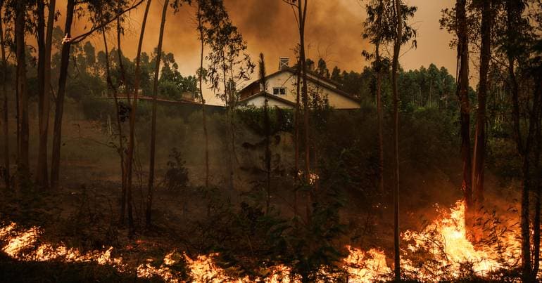 Man arrested for fire caused by tractor in Aguiar da Beira