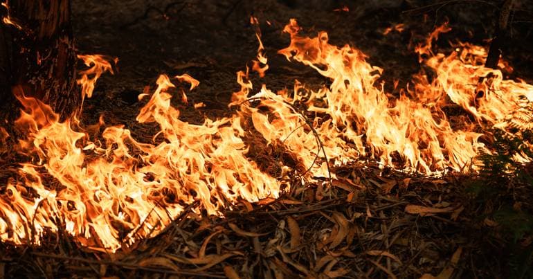 Young man in pre-trial detention for starting fires in Ponte de Lima