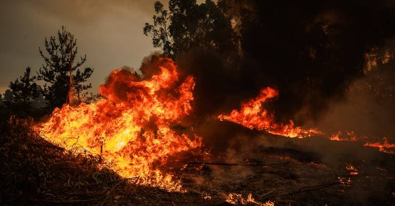 Fire in Porto de Mós in the resolution phase