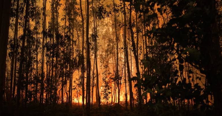 Seventeen municipalities at maximum risk of fire
