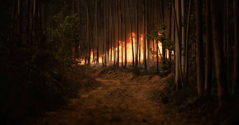 Fire in Gondomar mobilises more than 120 personnel