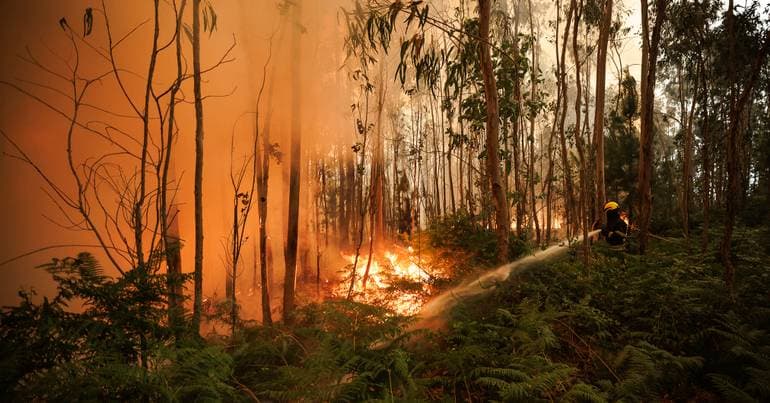 MAI: "Disorganized territory" increases hectares burned