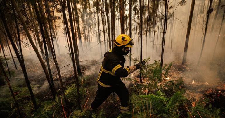 Nearly 100 personnel fight fire in the municipality of Beja
