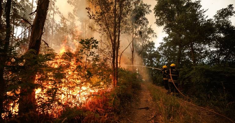 Fire in the municipality of Alijó brought under control