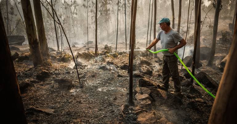 UN laments wildfires and calls for transition to renewables
