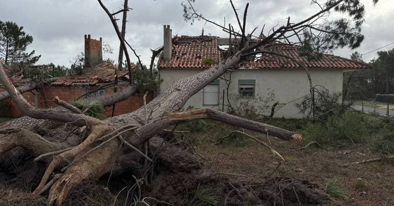 Sting jet causes strongest wind gust in Portugal: 178 km/h