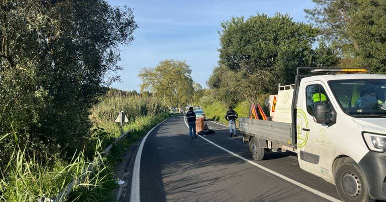 Truck crash blocks EN257 road between Alvito and Viana