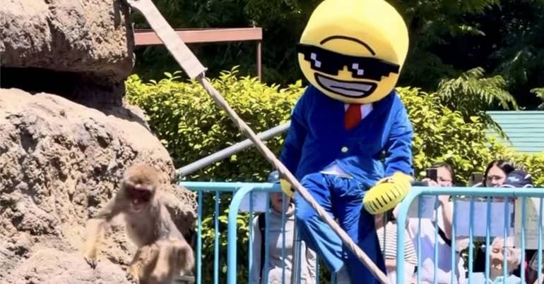 Two arrested after entering the enclosure of Punch the monkey