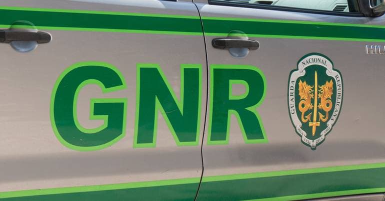 GNR seizes 15 kilograms of limpets on Flores Island