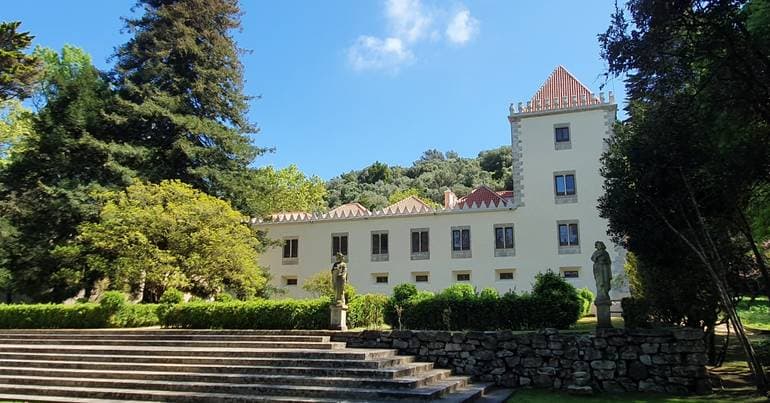 New theatre show in Sintra is 'Entre as Árvores'