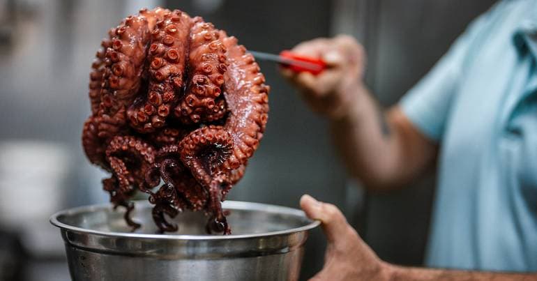 Marinhas: the restaurant that is like a "6-tentacled" octopus