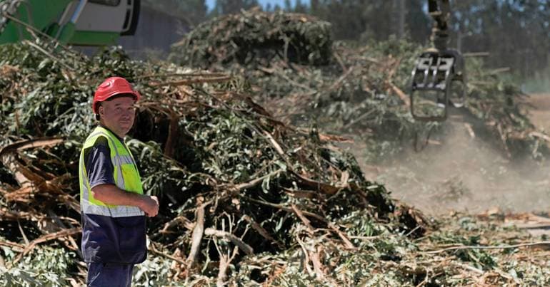 Tábua Municipality inaugurates new biomass park