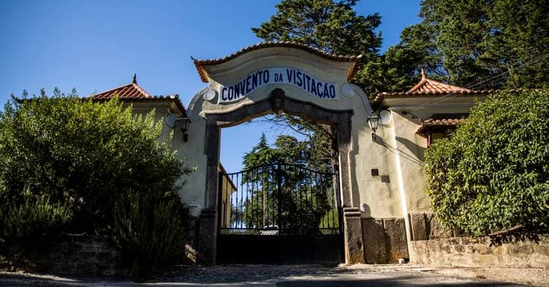 Public Prosecutor's Office archives case of the hunt where 540 animals died