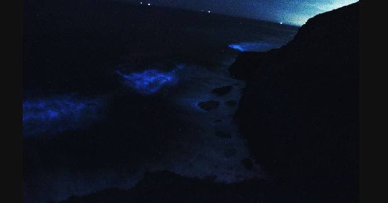 Why did the sea glow in Figueira da Foz?