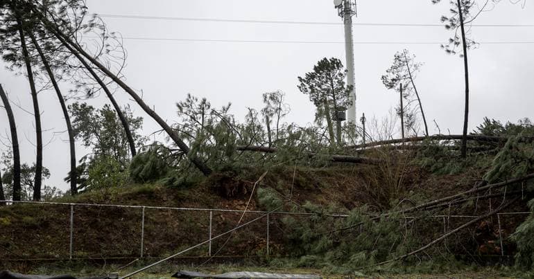 Castelo Branco provides disaster alerts