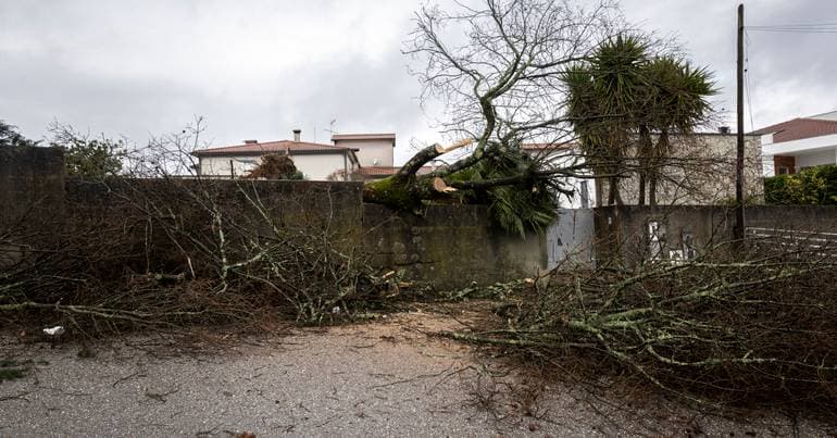 DGS warns to take precautions with water and food