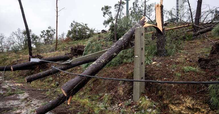 Electricity network: 'There are not enough human resources'