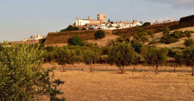Alentejo 2030 supports digital modernisation of municipalities