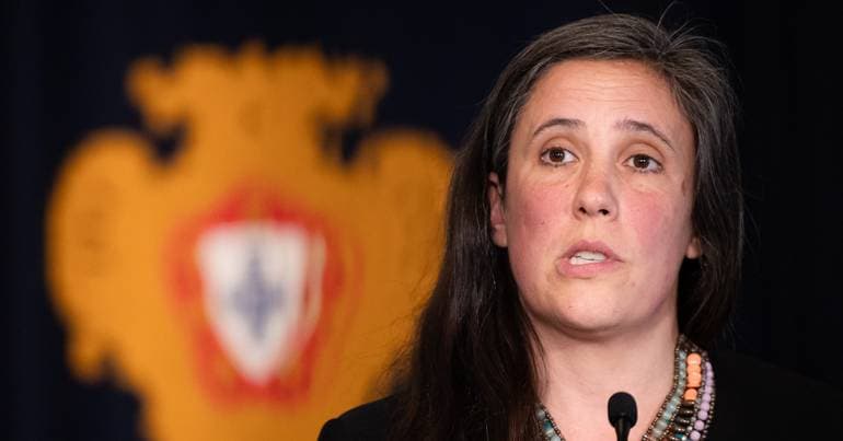 Livre says Chega and PSD request is unconstitutional