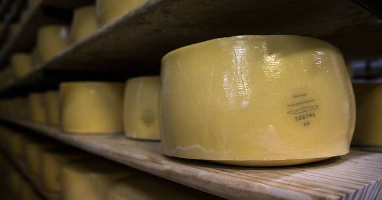 Structure being formed for São Jorge cheese UNESCO bid