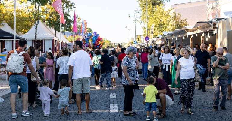 A Sunday afternoon at the Feira da Luz in Carnide