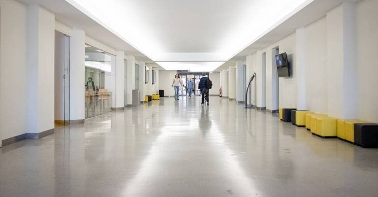 Human Resources Director of ULS Lisboa Ocidental suspended