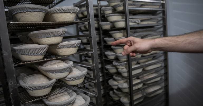 Celeste Group files for insolvency, leaving 300 unemployed