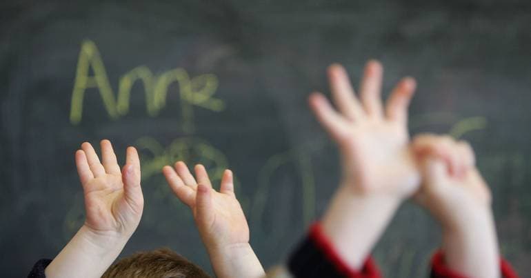 Madeira Government Allocates 539 Million to Education in 2026