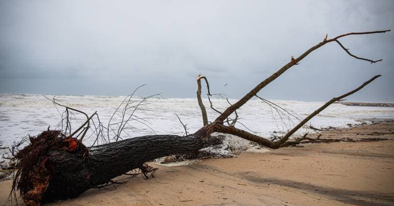 Storms: Beach recovery to cost 84 million