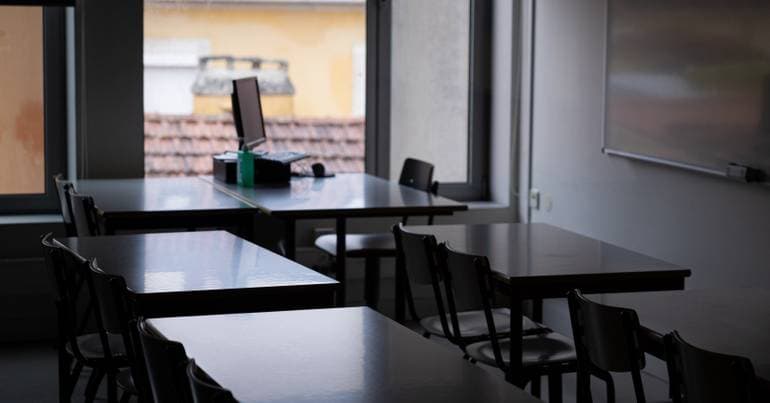 Flies cancel classes in seven schools in Vagos