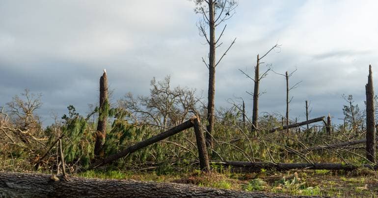 Kristin: Leiria municipality strengthens promotion of support measures