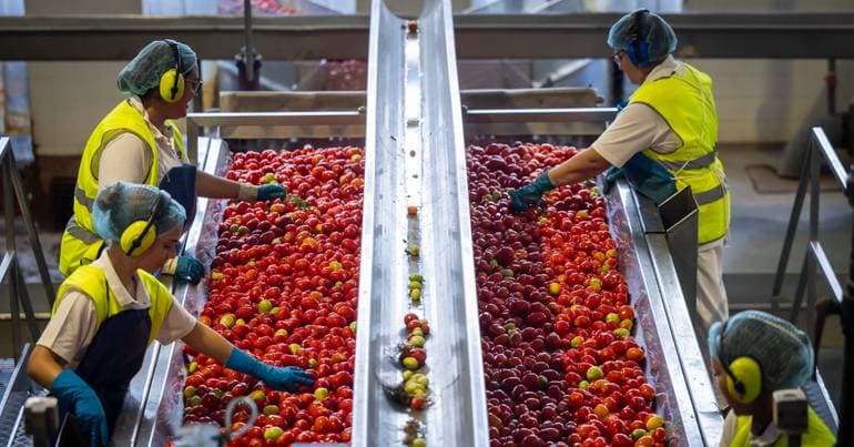 Labour reform creates appeal against AI decisions