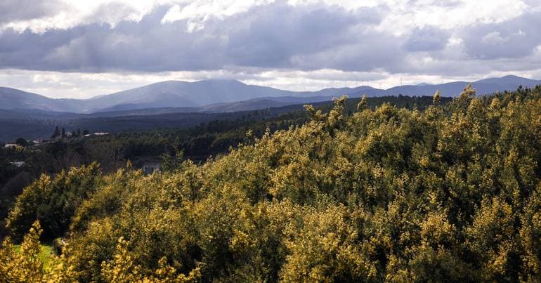 "Comer a Montanha" premieres in Serra da Estrela