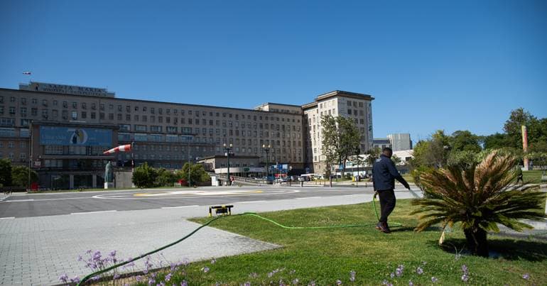 Lisbon. 130 new nurses integrated into the São José Local Health Unit (ULS)