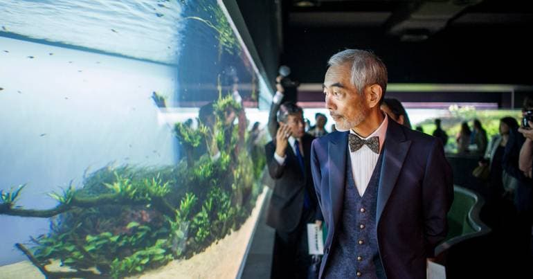 11 reasons to visit Florestas Submersas by Takashi Amano