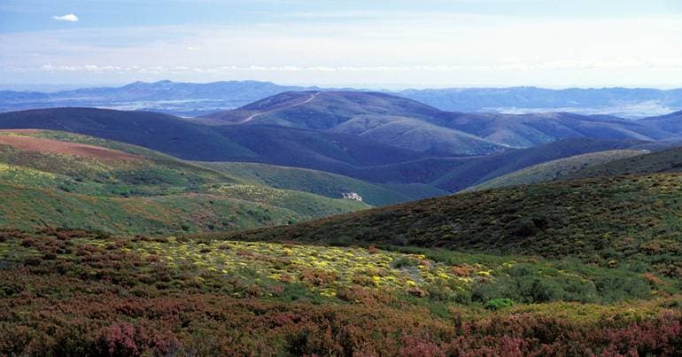 Serra da Malcata becomes a Special Area of Conservation