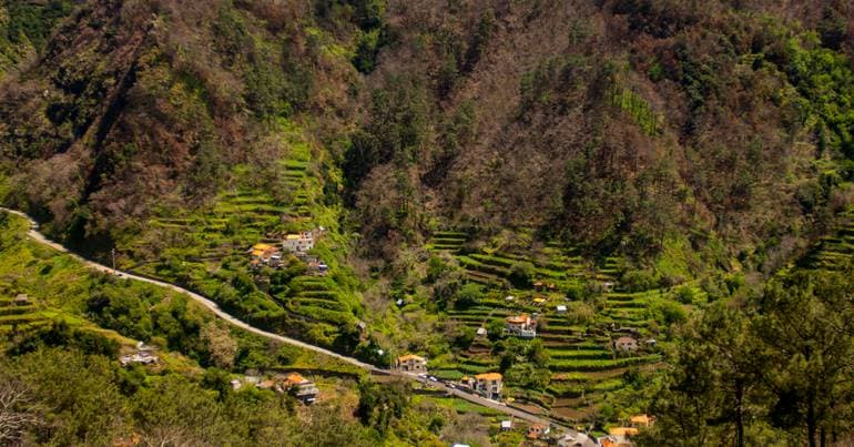 Regional digital divide persists in Portugal in 2025