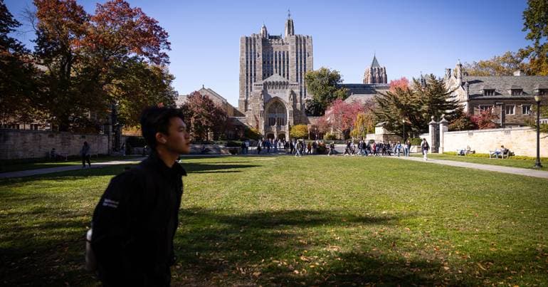 Portuguese language leads in US university access