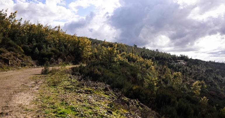 Walk commemorates 1881 expedition to Serra da Estrela