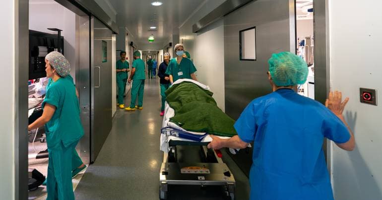 New tick infestation at Vila Real hospital