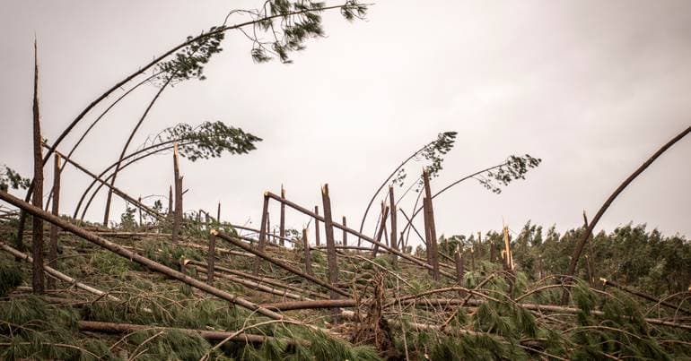 Leiria wants to alert Seguro about depopulation and forests