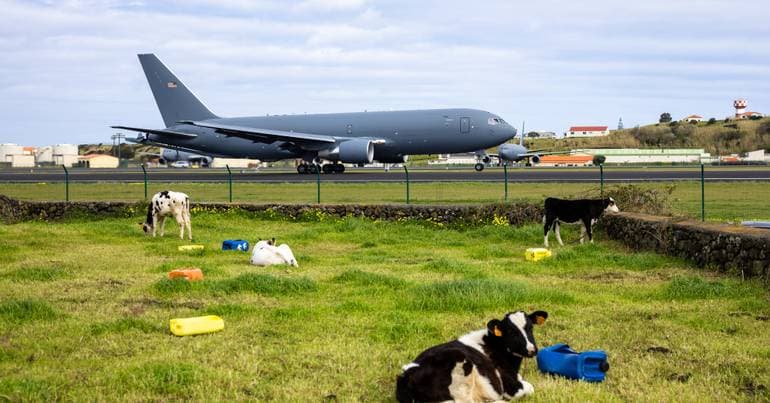 Bolieiro wants to renegotiate the Lajes Agreement with the USA