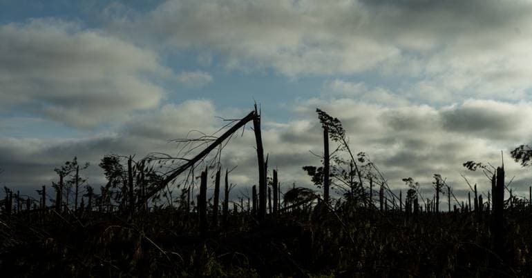 Fidelidade: "Many companies still lack insurance today"