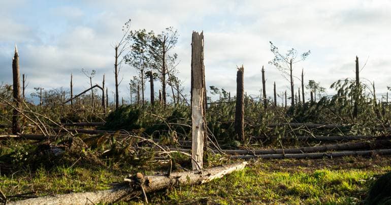 Platform launched to help plant with greater resilience