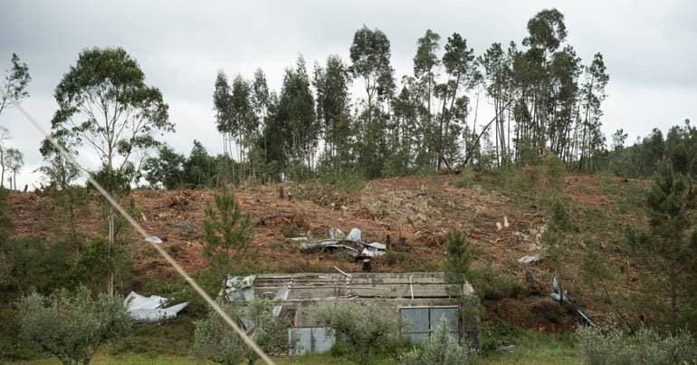 IPMA: Wind in Vinhais was 'probably' a tornado