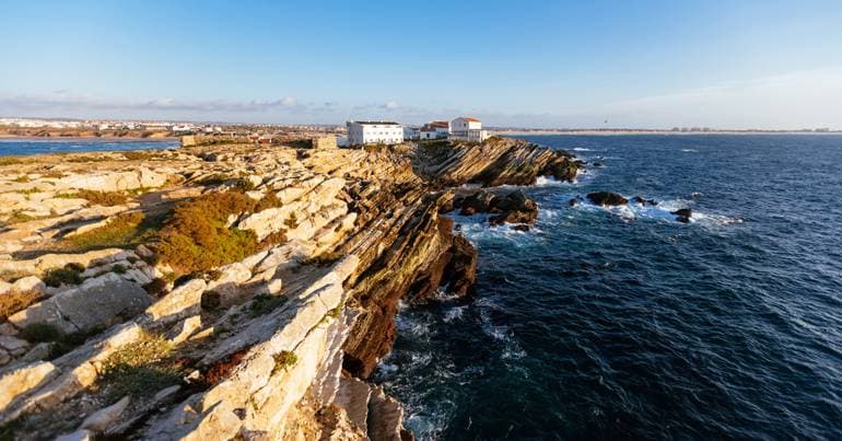 Land-based activities are the greatest threats to marine forests