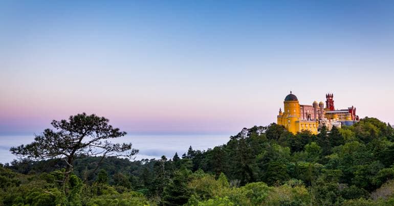 Parques de Sintra: 14th time competing for the tourism Oscars