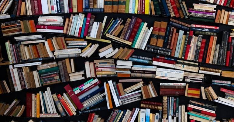 Book "Uma história a sério" wins award