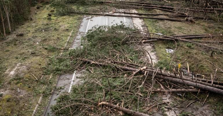 "Unprecedented destruction": communications network damaged